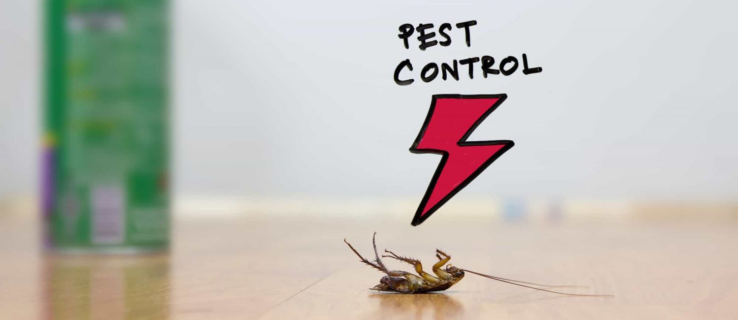 Los Angeles Pest Control Companies, Bakersfield Pest Control Companies
